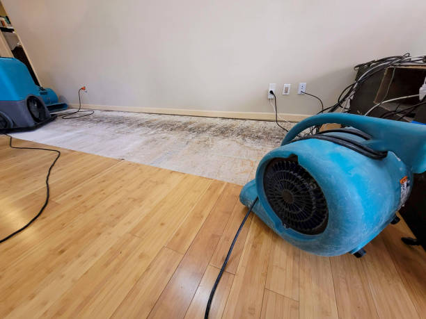 Professional Sewage Cleanup technician working in Hurricane Mills, TN